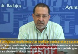 El GMS considera insuficientes las medidas contra ratas y cucarachas