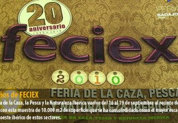 20 años de FECIEX
