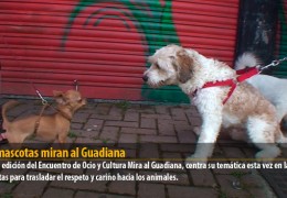 Las mascotas miran al Guadiana