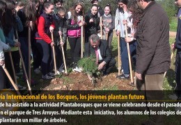 En el Día Internacional de los Bosques, los jóvenes plantan futuro