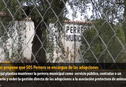 Cabezas propone que SOS Perrera se encargue de las adopciones