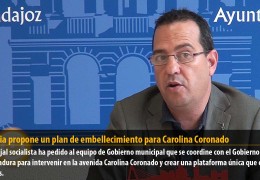 Segovia propone un plan de embellecimiento para Carolina Coronado