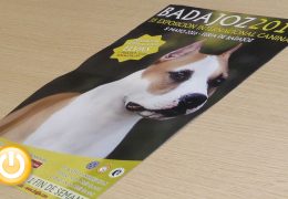 La XXXV Exposición Internacional Canina contará con más de 1000 perros