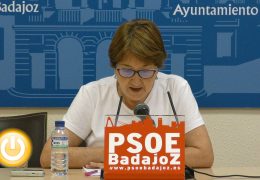 El PSOE pide mejoras medioambientales para la ciudad