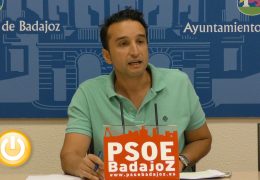 PSOE critica que la Eurociudad no tenga una agenda cultural