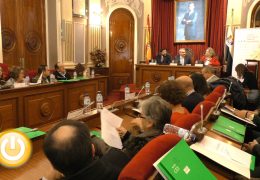 El Consejo Económico y Social de Extremadura celebra su pleno en el Ayuntamiento de Badajoz