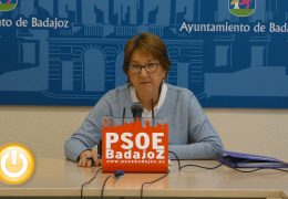 PSOE critica la metodología empleada en la elaboración del diagnóstico previo al Plan de Igualdad
