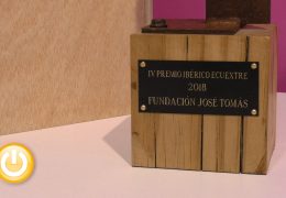 La Fundación José Tomás, Premio Ecuextre 2018