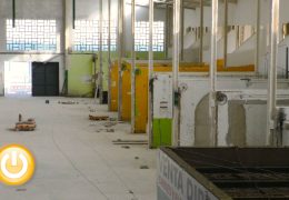 Mercabadajoz invertirá 700.000 euros en modernizar sus instalaciones