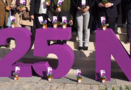 Rueda de prensa Servicios Sociales – Día internacional eliminación de la violencia contra la mujer