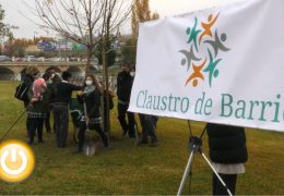 Árboles para unir a la comunidad educativa de San Roque