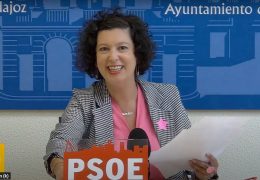 Rueda de Prensa PSOE – Cultura