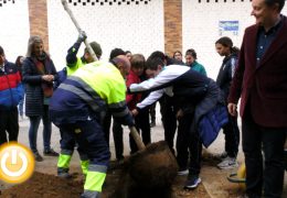 Alumnos de los colegios de San Roque plantan 6 árboles
