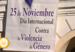 Día Internacional Contra la Violencia de Género