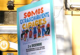 Celebrado el Día Internacional de las Personas con Discapacidad