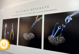 X Certamen Fotográfico Encina de Plata