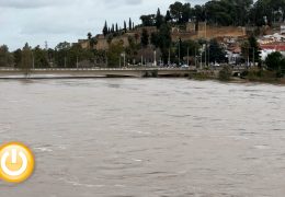 Alcalde de Badajoz: «El domingo comienza con una situación más tranquila y estable»