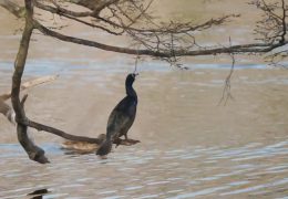 Vídeo de Badajoz para FIO 2026