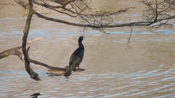 Vídeo de Badajoz para FIO 2026