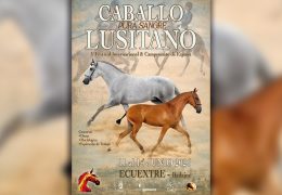 Rueda de prensa IFEBA – Campeonato de España de Caballos Lusitanos