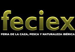 Rueda de prensa IFEBA – Presentación FECIEX 2026